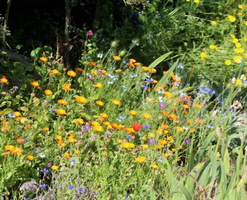 1-1K-JPEG-100-1K-JPEG