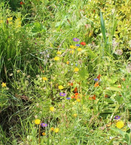 1-1K-JPEG-101-1K-JPEG (1)