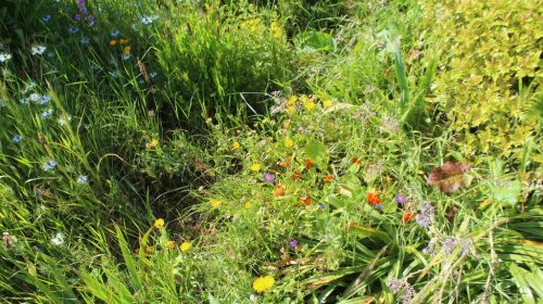 1-1K-JPEG-102-1K-JPEG (1)