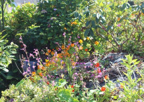 1-1K-JPEG-103-1K-JPEG (1)