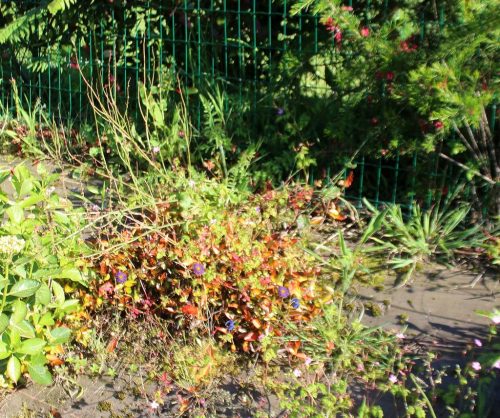 1-1K-JPEG-105-1K-JPEG (1)