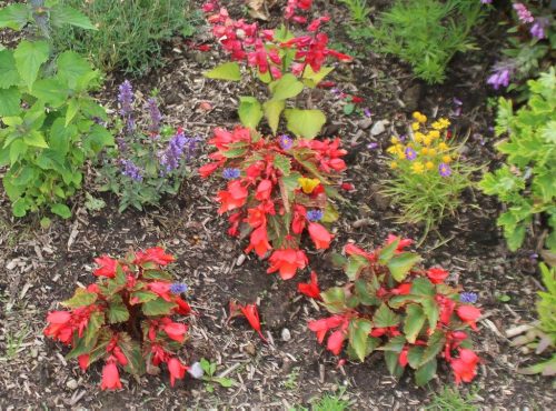 1-1K-JPEG-106-1K-JPEG (1)