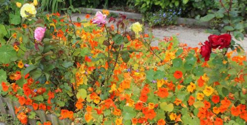 1-1K-JPEG-107-1K-JPEG (1)