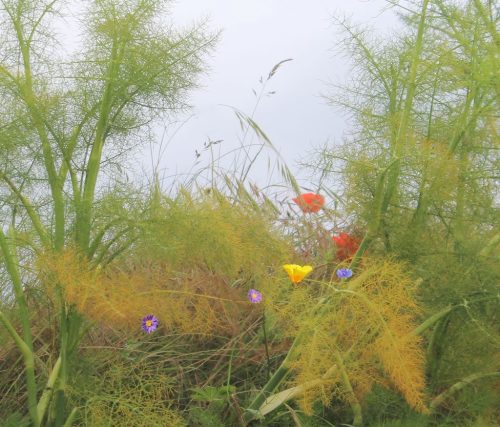 1-1K-JPEG-108-1K-JPEG (1)