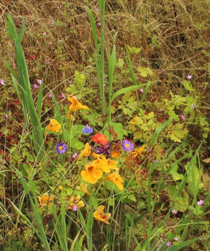 1-1K-JPEG-111-1K-JPEG (1)