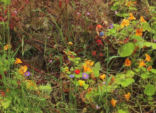 1-1K-JPEG-113-1K-JPEG (1)