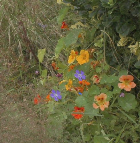 1-1K-JPEG-114-1K-JPEG (1)