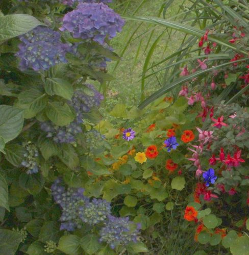 1-1K-JPEG-115-1K-JPEG (1)