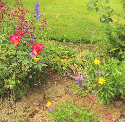 1-1K-JPEG-116-1K-JPEG (1)