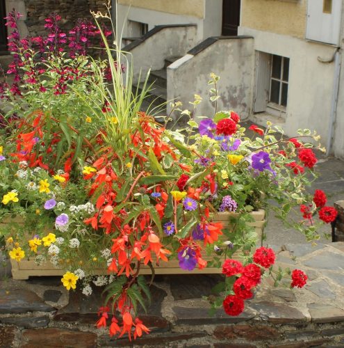 1-1K-JPEG-117-1K-JPEG (1)