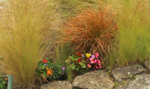 1-1K-JPEG-118-1K-JPEG (1)