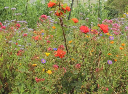 1-1K-JPEG-119-1K-JPEG (1)