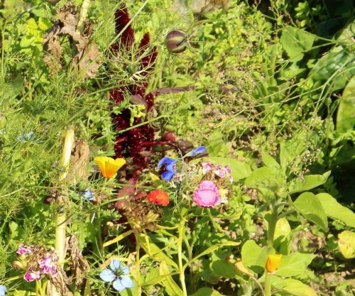 1-1K-JPEG-120-1K-JPEG (1)