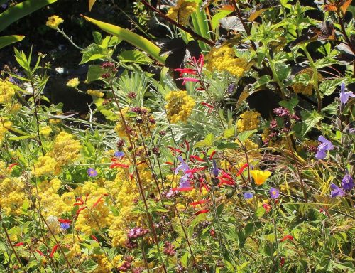 1-1K-JPEG-121-1K-JPEG