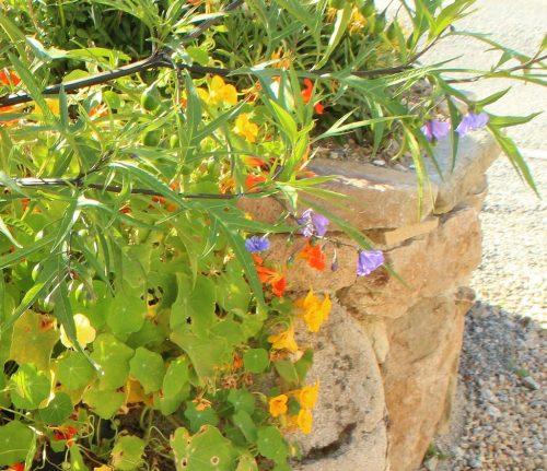 1-1K-JPEG-122-1K-JPEG