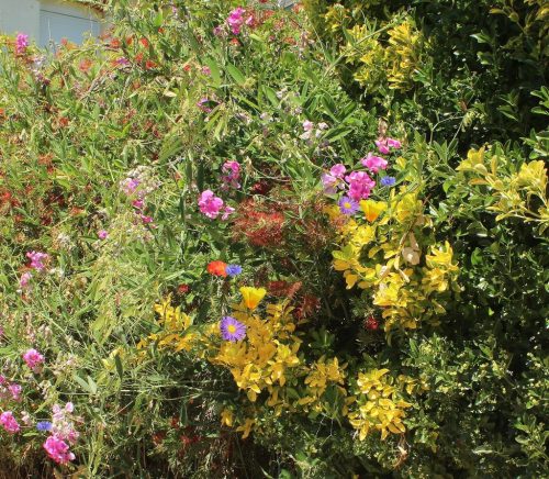 1-1K-JPEG-123-1K-JPEG