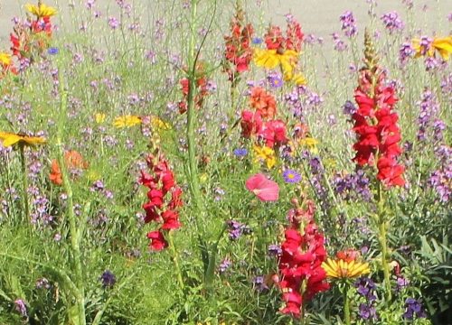 1-1K-JPEG-124-1K-JPEG