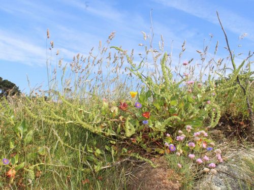 1-1K-JPEG-128-1K-JPEG