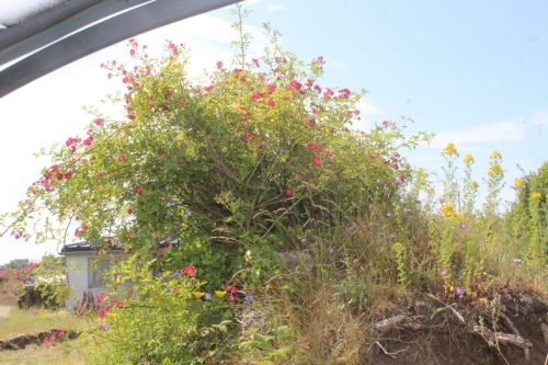 1-1K-JPEG-129-1K-JPEG