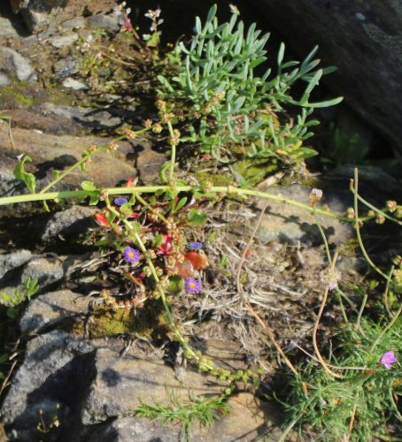 1-1K-JPEG-130-1K-JPEG