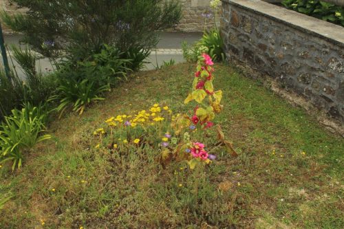 1-1K-JPEG-131-1K-JPEG