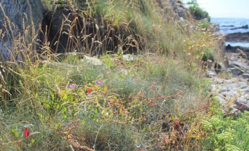 1-1K-JPEG-134-1K-JPEG