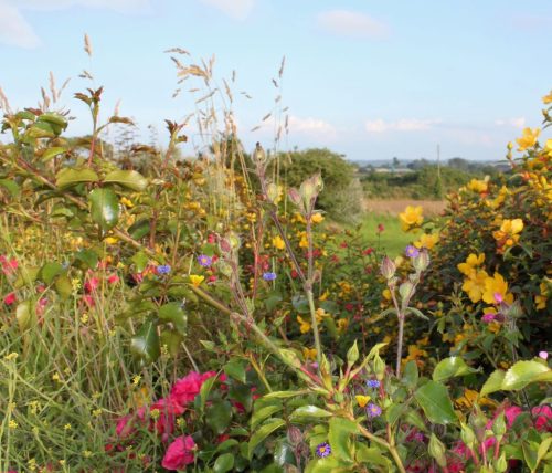 1-1K-JPEG-16-1K-JPEG