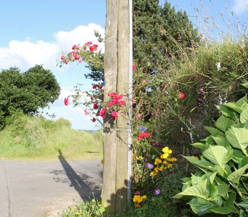 1-1K-JPEG-17-1K-JPEG