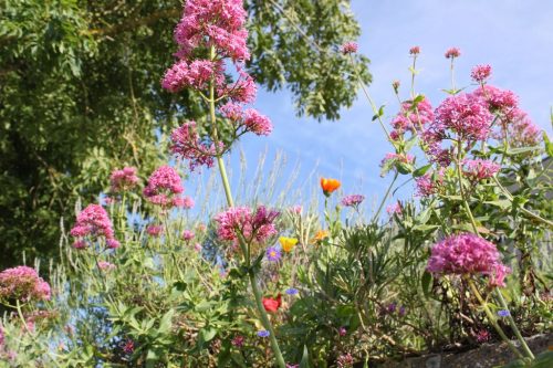 1-1K-JPEG-18-1K-JPEG