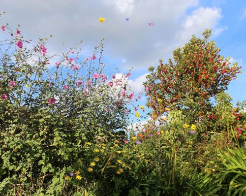 1-1K-JPEG-19-1K-JPEG