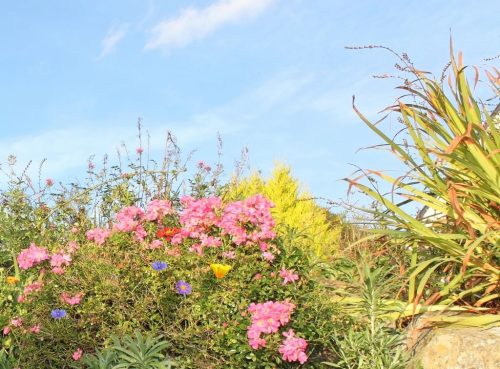 1-1K-JPEG-20-1K-JPEG