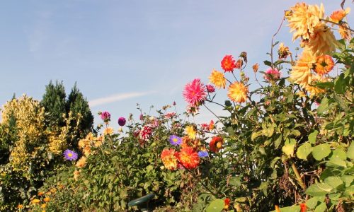 1-1K-JPEG-23-1K-JPEG