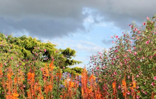 1-1K-JPEG-24-1K-JPEG