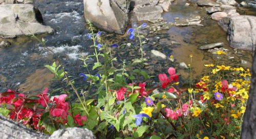 1-1K-JPEG-27-1K-JPEG