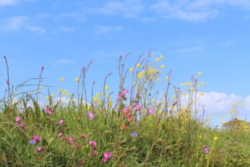 1-1K-JPEG-28-1K-JPEG