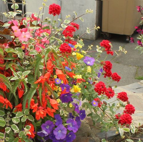 1-1K-JPEG-29-1K-JPEG