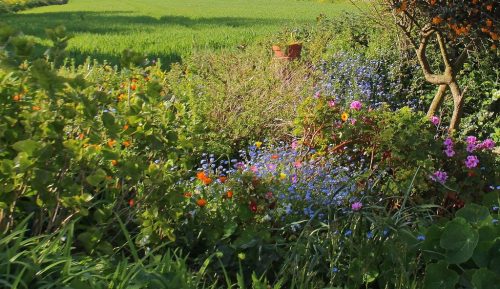 1-1K-JPEG-31-1K-JPEG