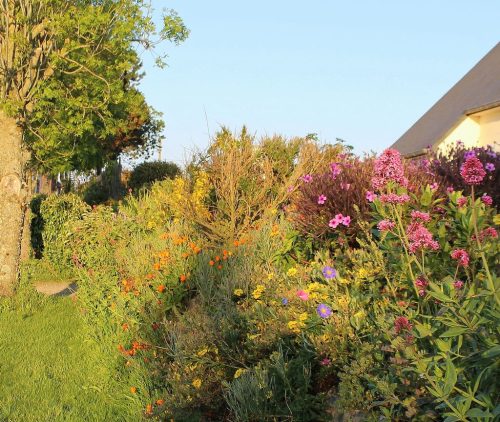 1-1K-JPEG-32-1K-JPEG