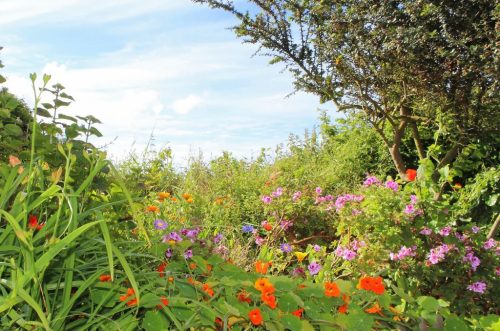 1-1K-JPEG-38-1K-JPEG