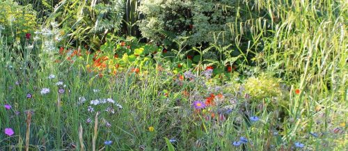 1-1K-JPEG-39-1K-JPEG