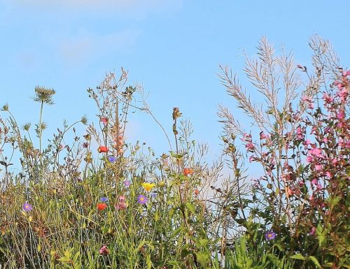 1-1K-JPEG-40-1K-JPEG (1)