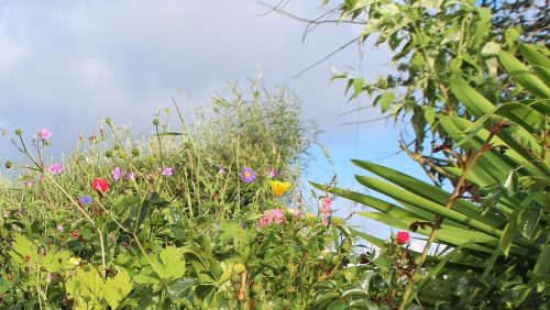 1-1K-JPEG-43-1K-JPEG