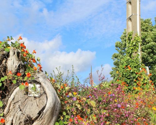 1-1K-JPEG-44-1K-JPEG