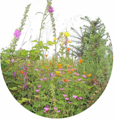 1-1K-JPEG-45-1K-JPEG