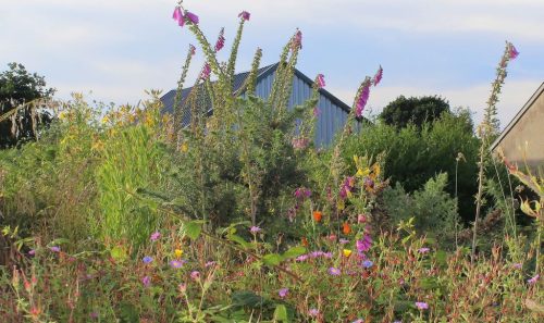 1-1K-JPEG-47-1K-JPEG