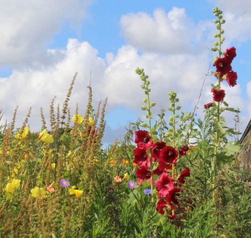 1-1K-JPEG-48-1K-JPEG