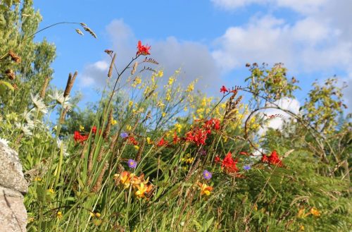 1-1K-JPEG-49-1K-JPEG