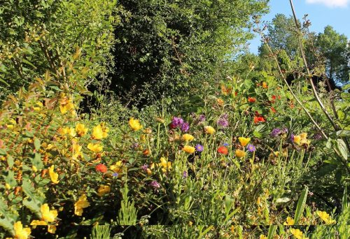 1-1K-JPEG-54-1K-JPEG