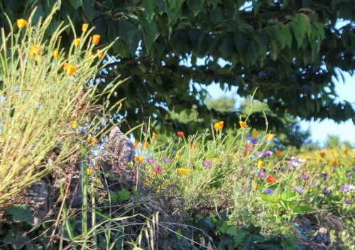 1-1K-JPEG-56-1K-JPEG