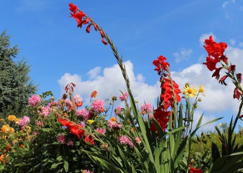 1-1K-JPEG-58-1K-JPEG